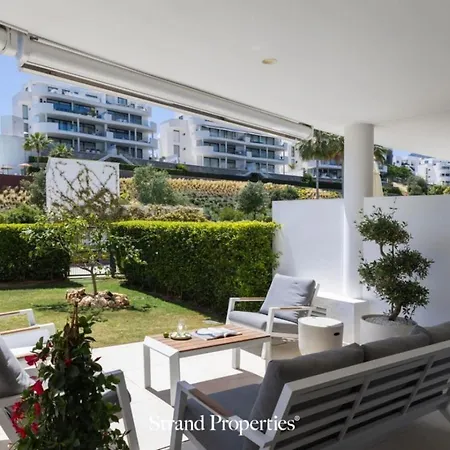 Modern Garden With A Spacious Terrace