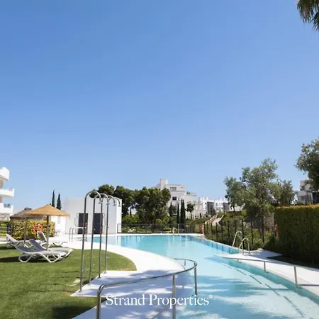 Modern Garden With A Spacious Terrace *